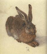 Albrecht Durer A Young Hare oil painting